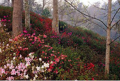 微软687亿美元能买到啥？IGN算了一笔账